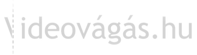 videovagas-logo